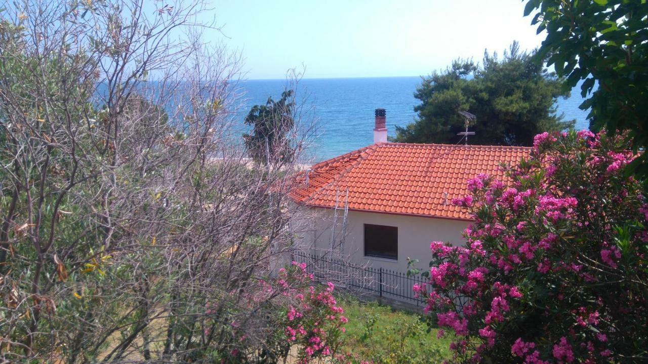 Maisonette Close To The Beach Nikiti  Buitenkant foto